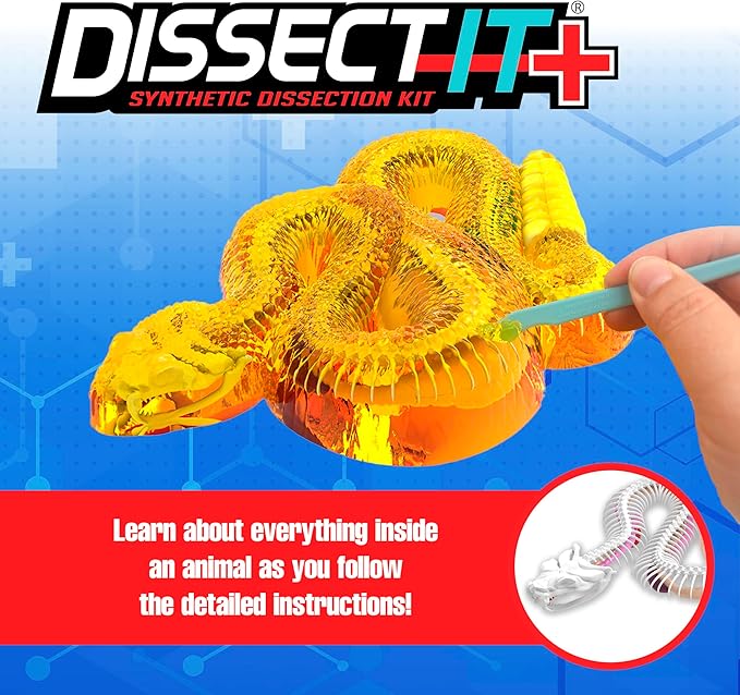 Dissect IT Rattlesnke Lab
