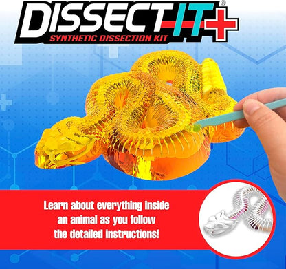 Dissect IT Rattlesnke Lab