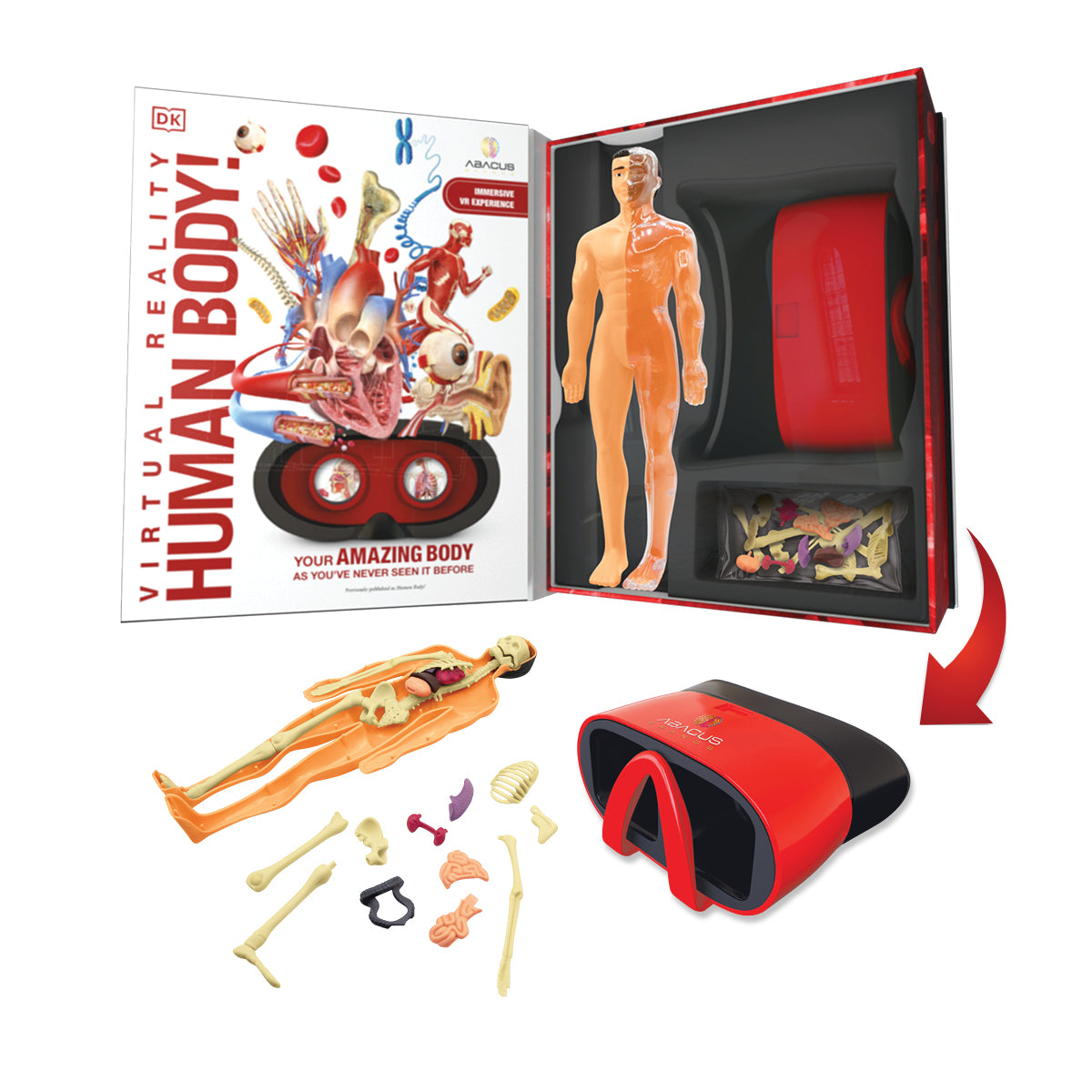 VR Human Body.  DK Gift Set