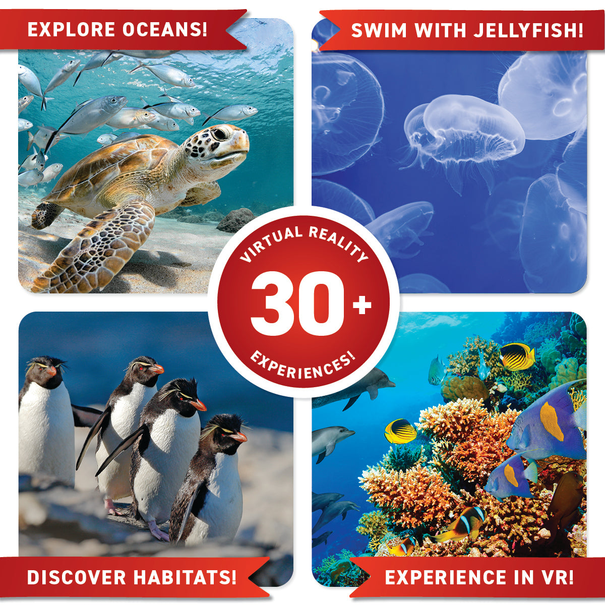 VR Oceans! DK Gift Set
