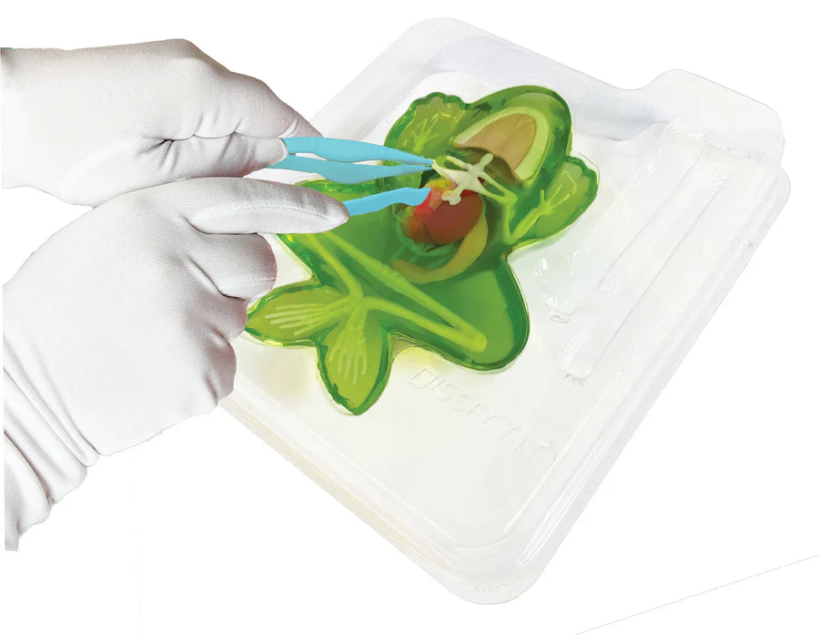 Dissect IT Frog Lab