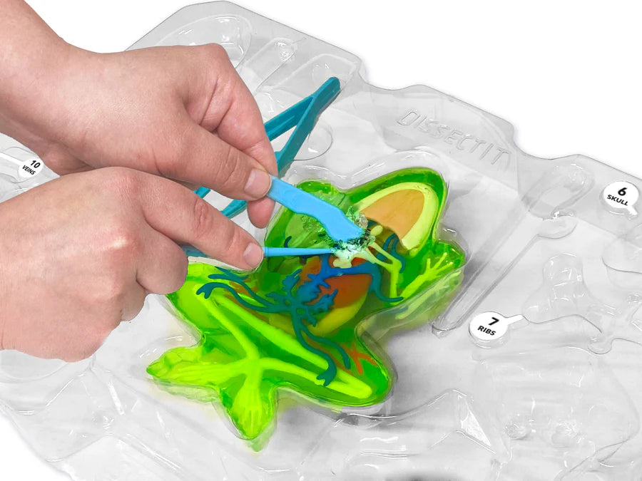 Dissect IT Super Frog Lab