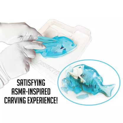 Dissect IT Piranha