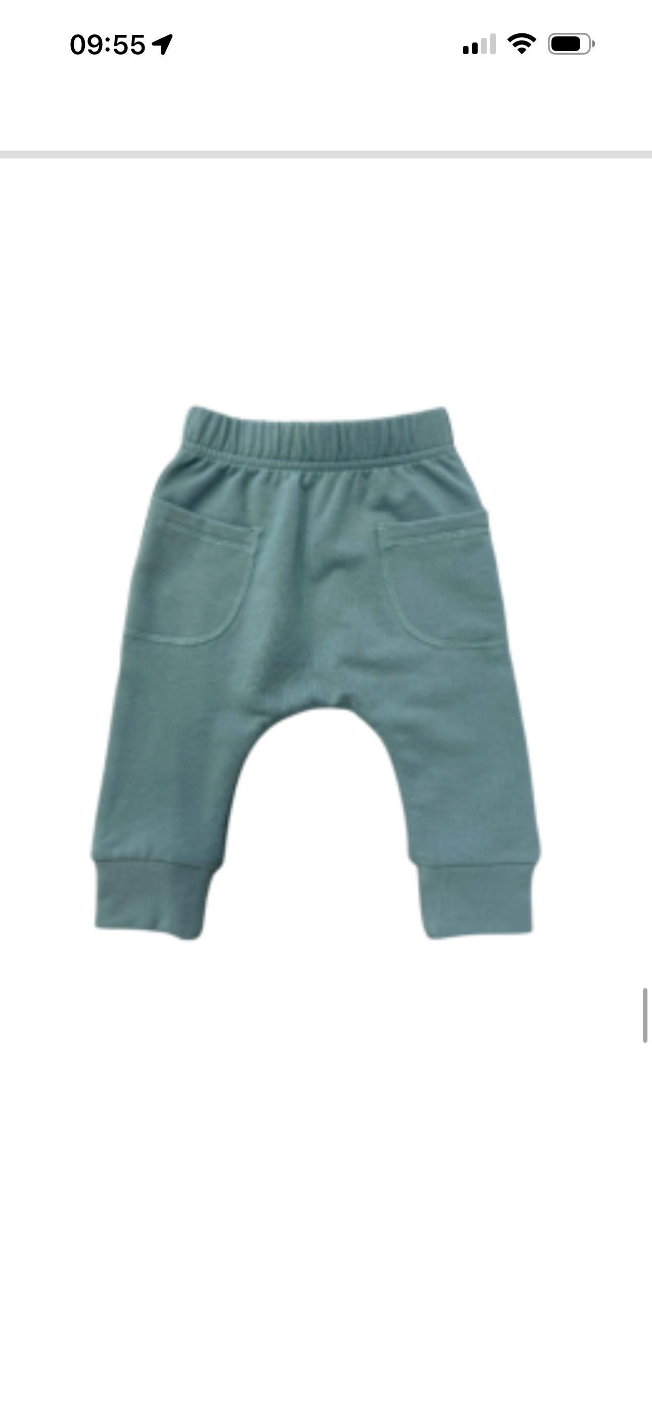 Pocket Pants - Atlantic