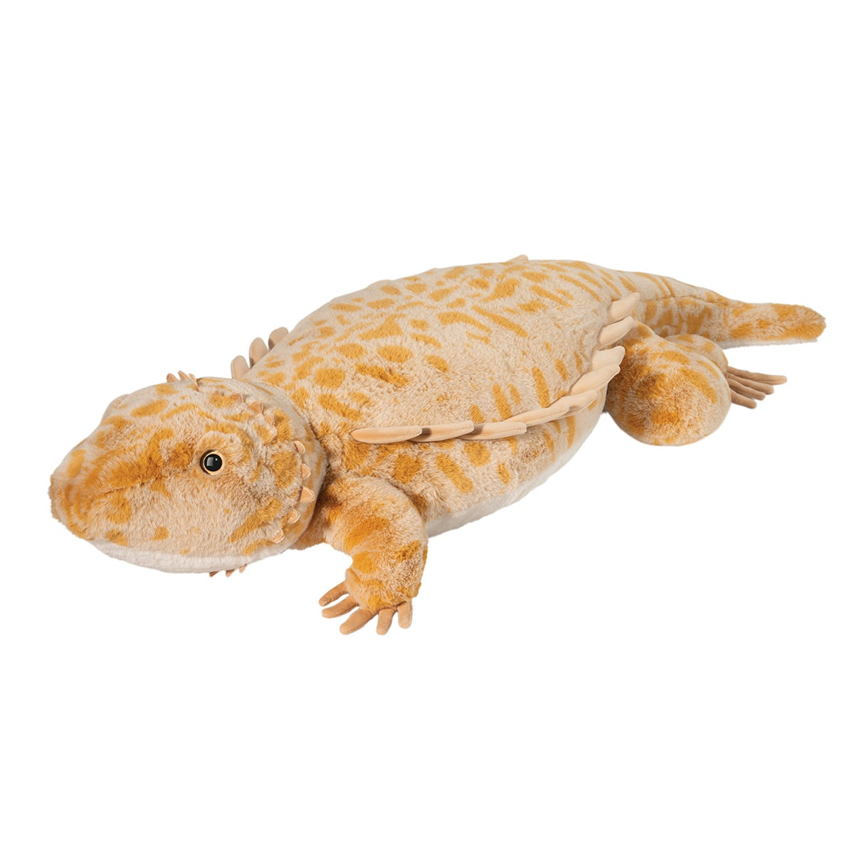 Boogie Bearded Dragon