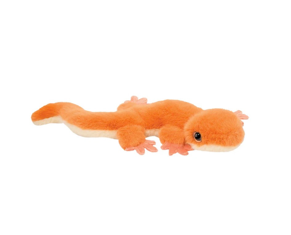 Sam Salamander
