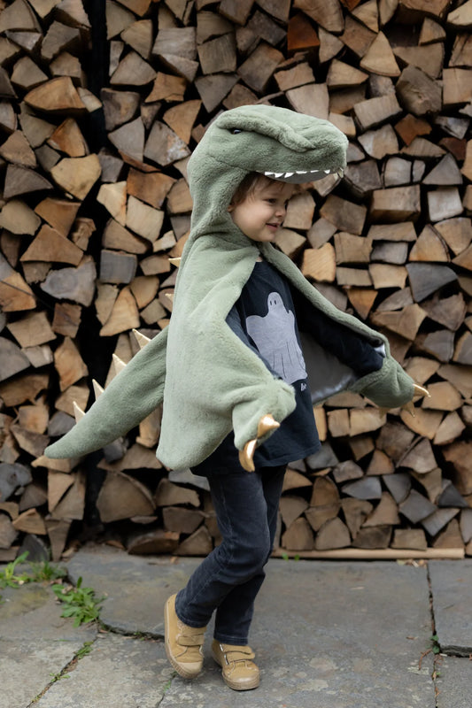 T-Rex Cuddle Cape, Green, 2T