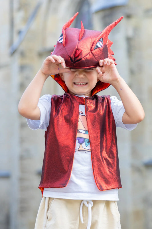 The All Day Everday Dragon Vest, Size 3-4