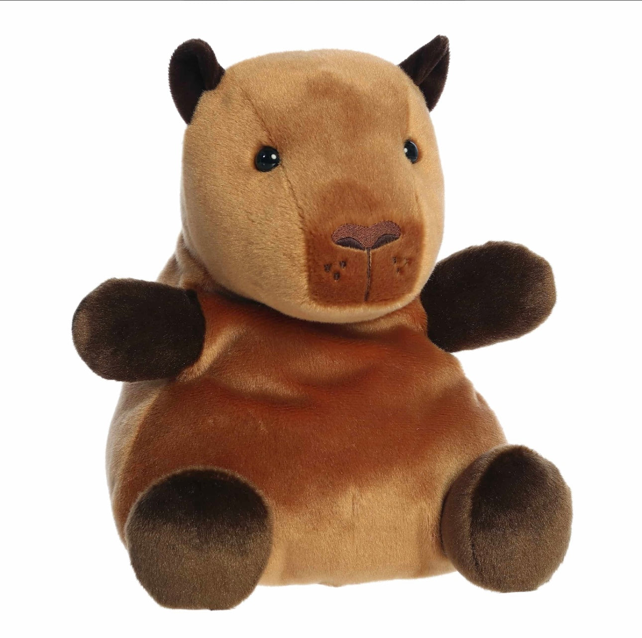 13'' Sid Capybara Palm Pal