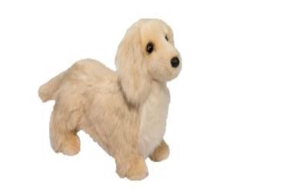 Haisley Golden Dachshund