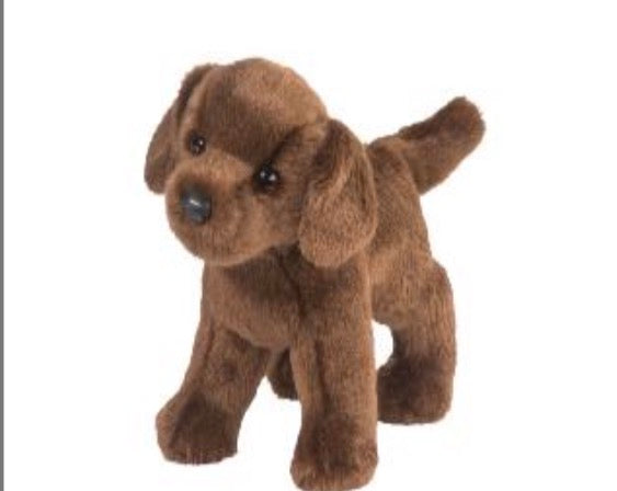 Tucker Chocolate Lab