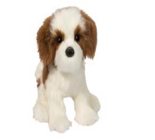 Farren Shih Tzu