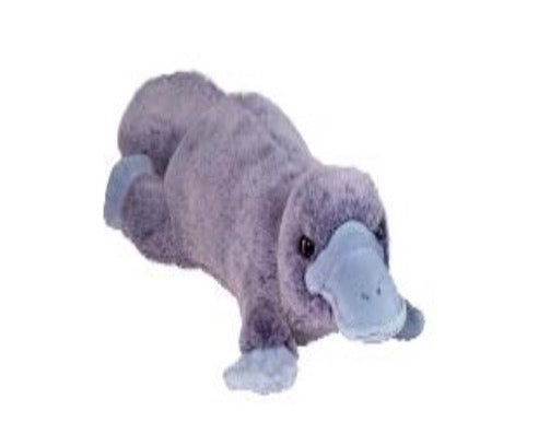 Allie Platypus Soft