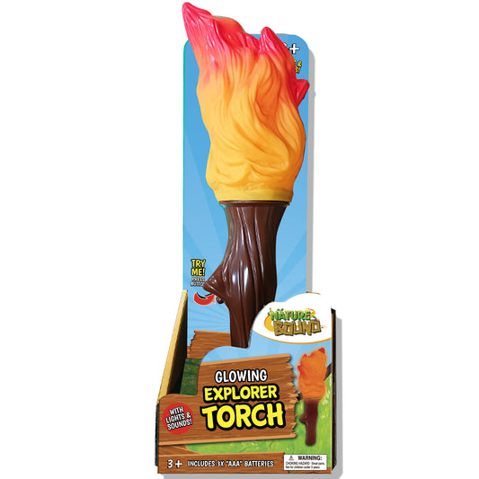Torch with Light Sound