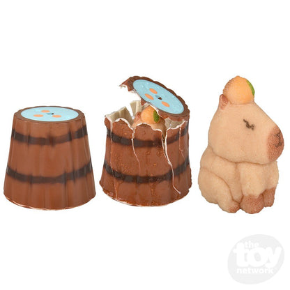 Small Hatch And Grow Capybara Egg 2.5"