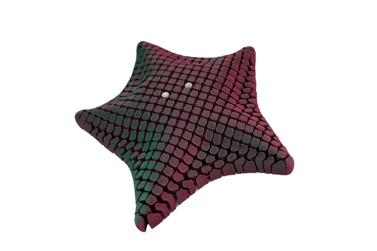 3D Floppy Starfish