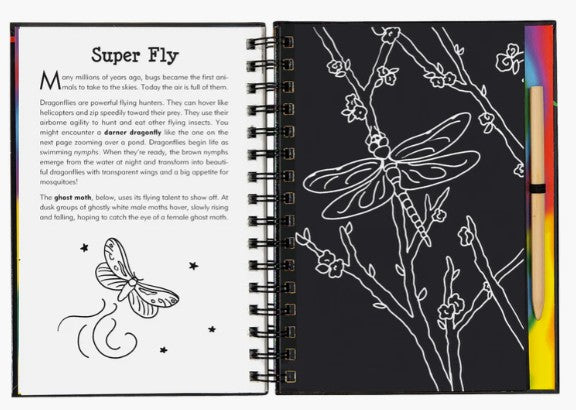 Bugs! Scratch and Sketch