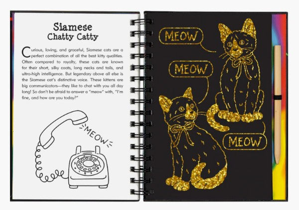 Kittens Scratch and Sketch