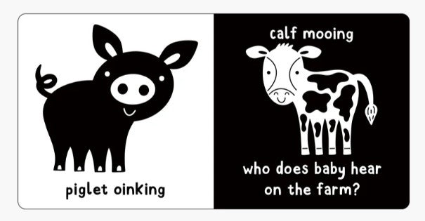 What Does Baby See? - Baby Animals