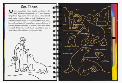 At the Aquarium Scratch and Sketch