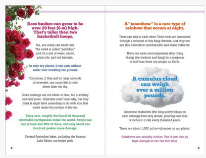 The Big Book of Useless Facts