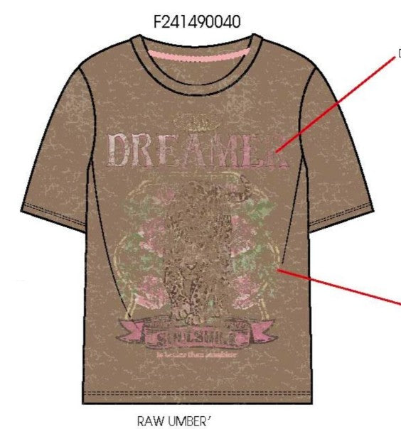 Day Dreamer Distressed Graphic Tee