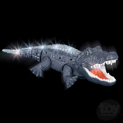 16" Crawling Crocodile