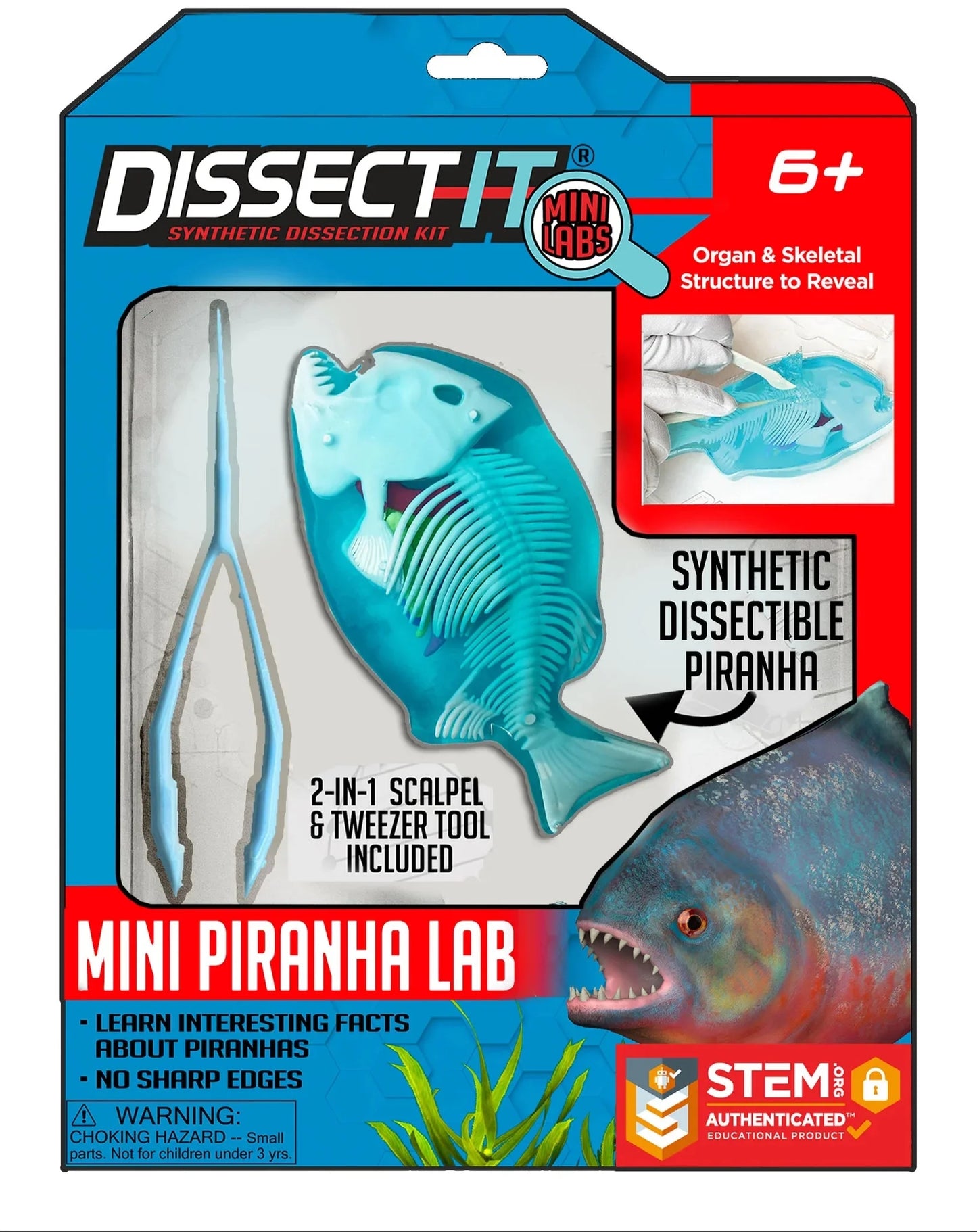 Dissect IT Mini Lab Assortment