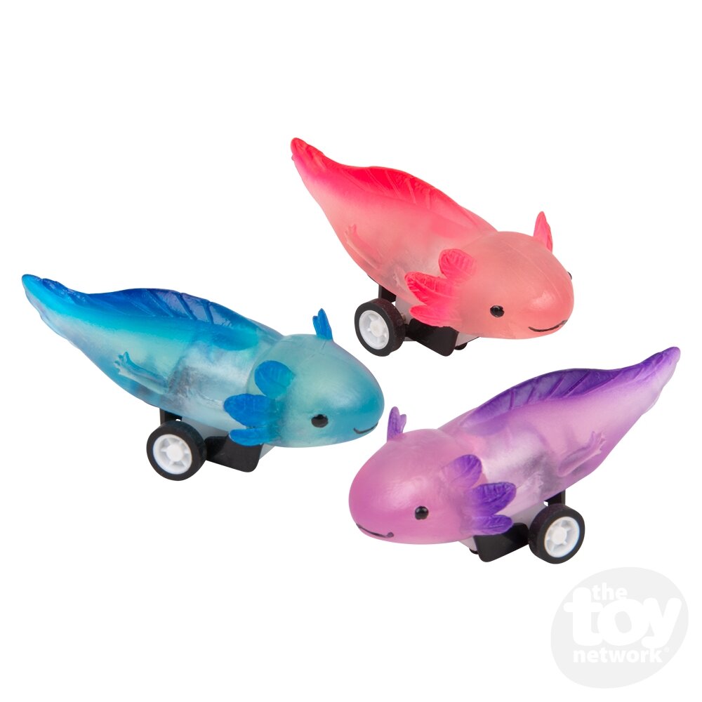 2.5" Pull Back Axolotl