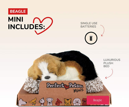 Pp Mini Beagle