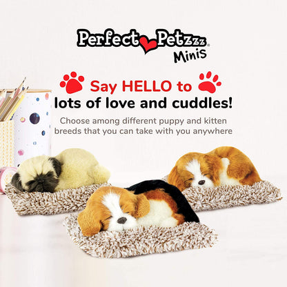 Pp Mini Beagle