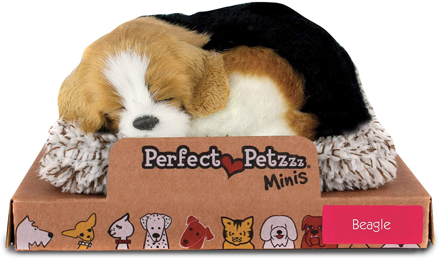 Pp Mini Beagle