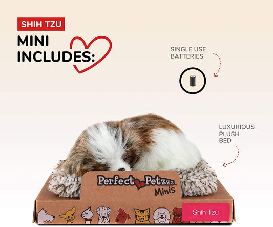 Pp Mini Shih Tzu