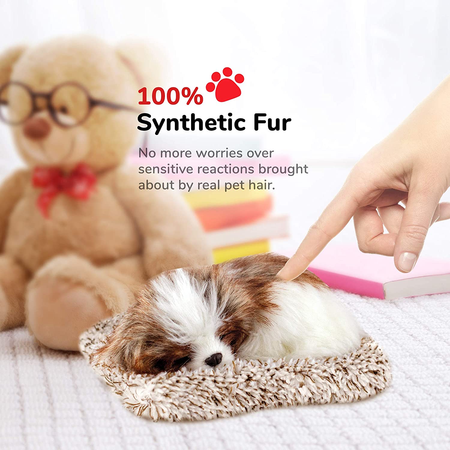 Pp Mini Shih Tzu