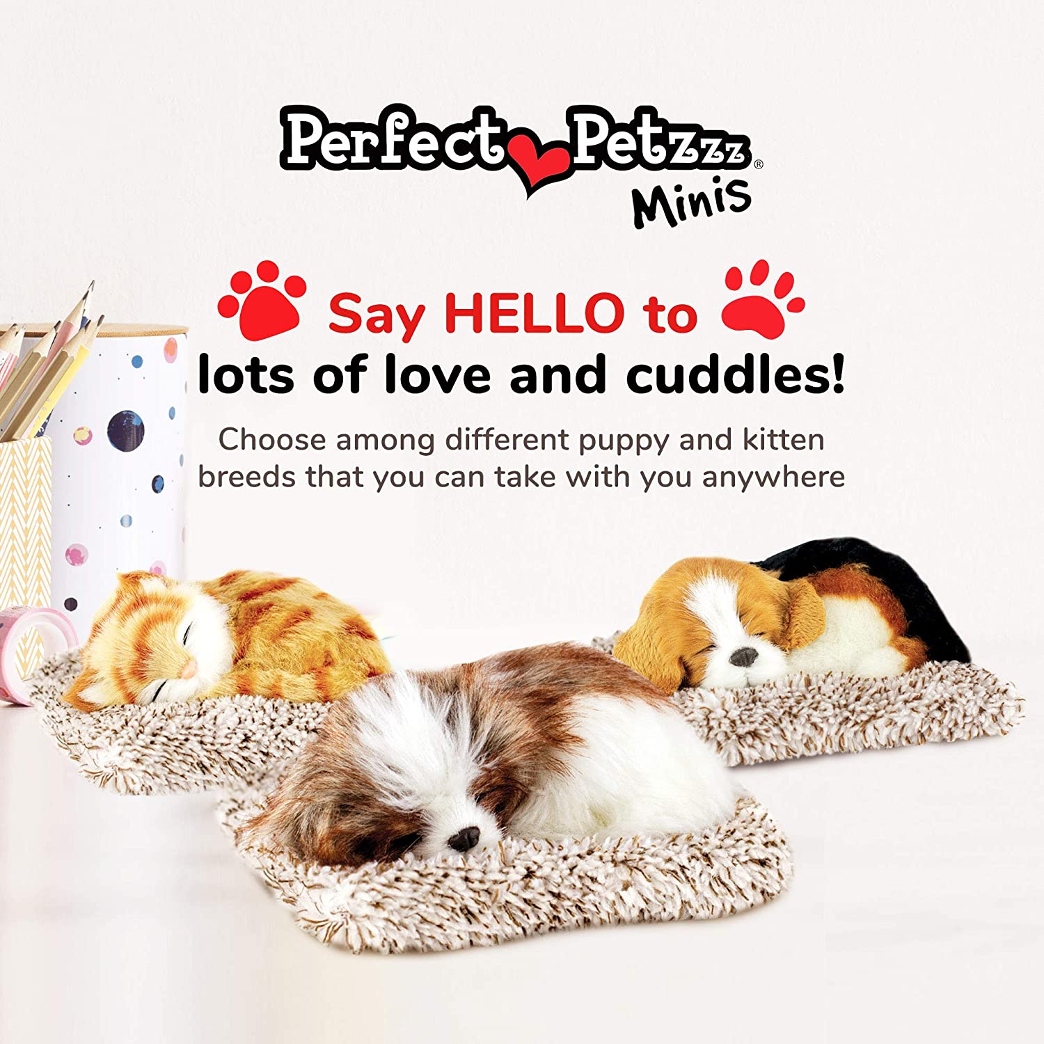 Pp Mini Shih Tzu