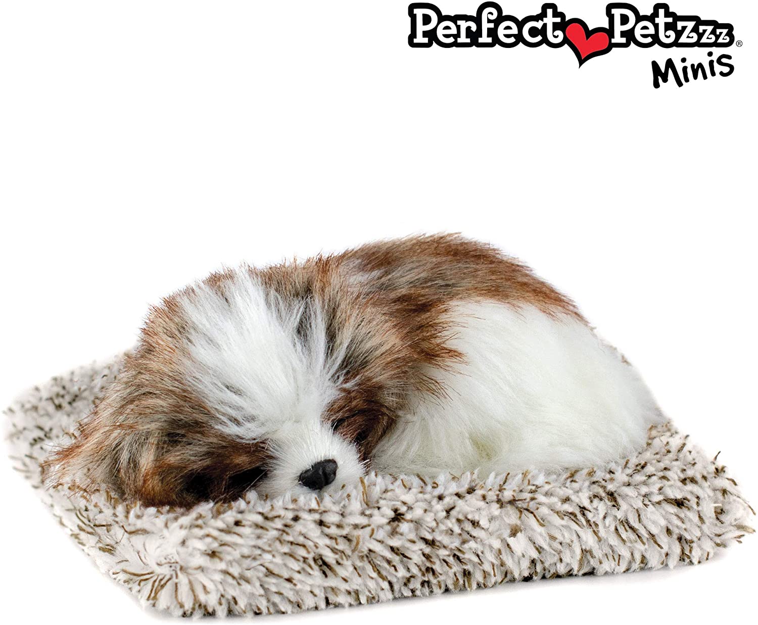 Pp Mini Shih Tzu