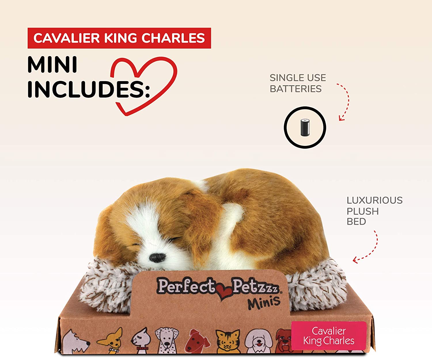 Pp Mini Cavalier King Cha
