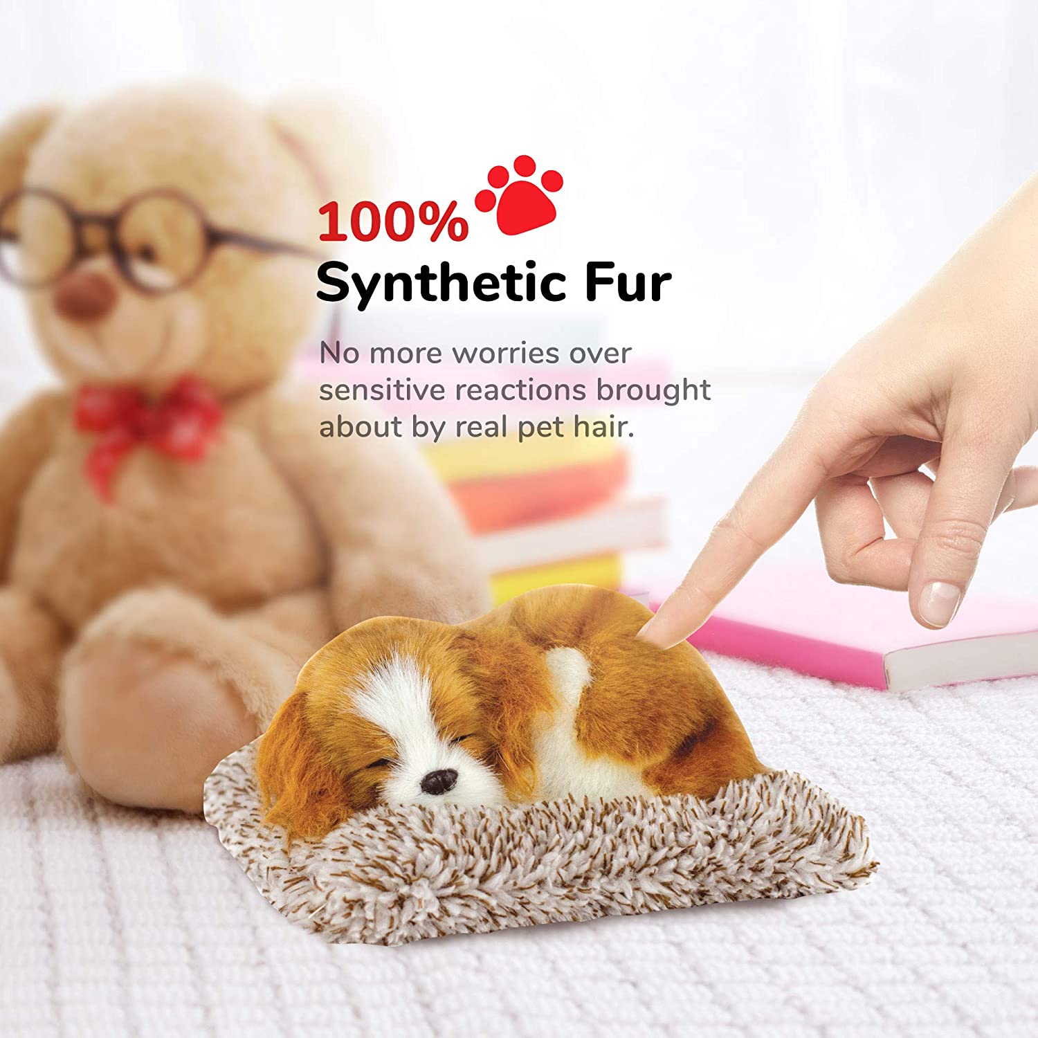Pp Mini Cavalier King Cha