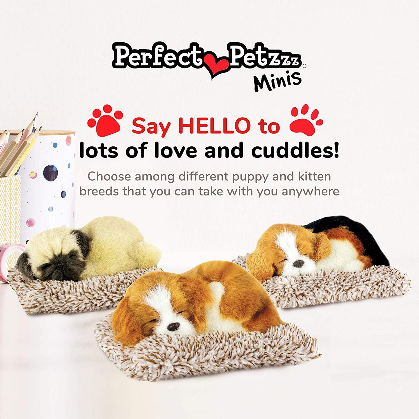 Pp Mini Cavalier King Cha