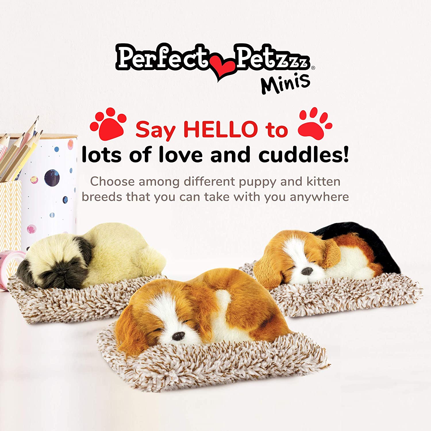 Pp Mini Cavalier King Cha