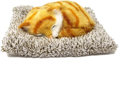 Pp Mini Orange Tabby