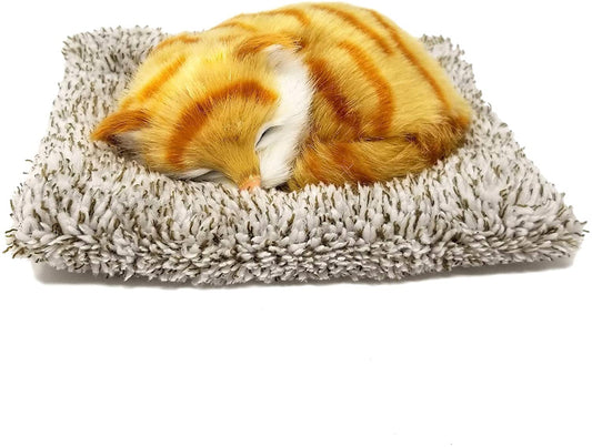 Pp Mini Orange Tabby