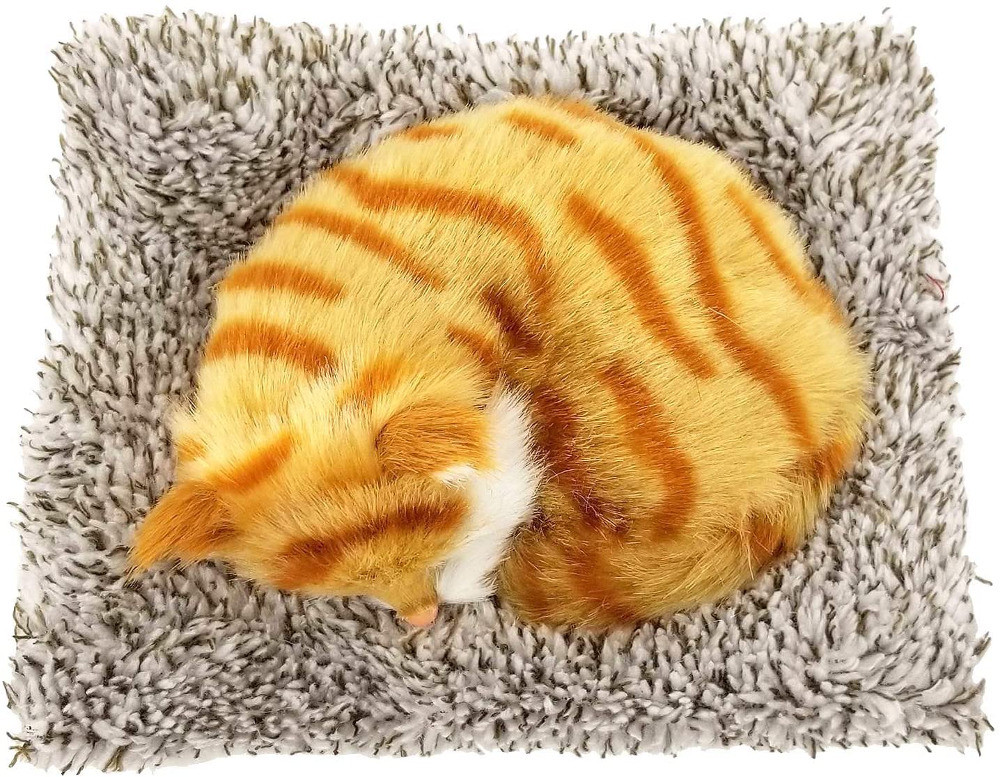 Pp Mini Orange Tabby