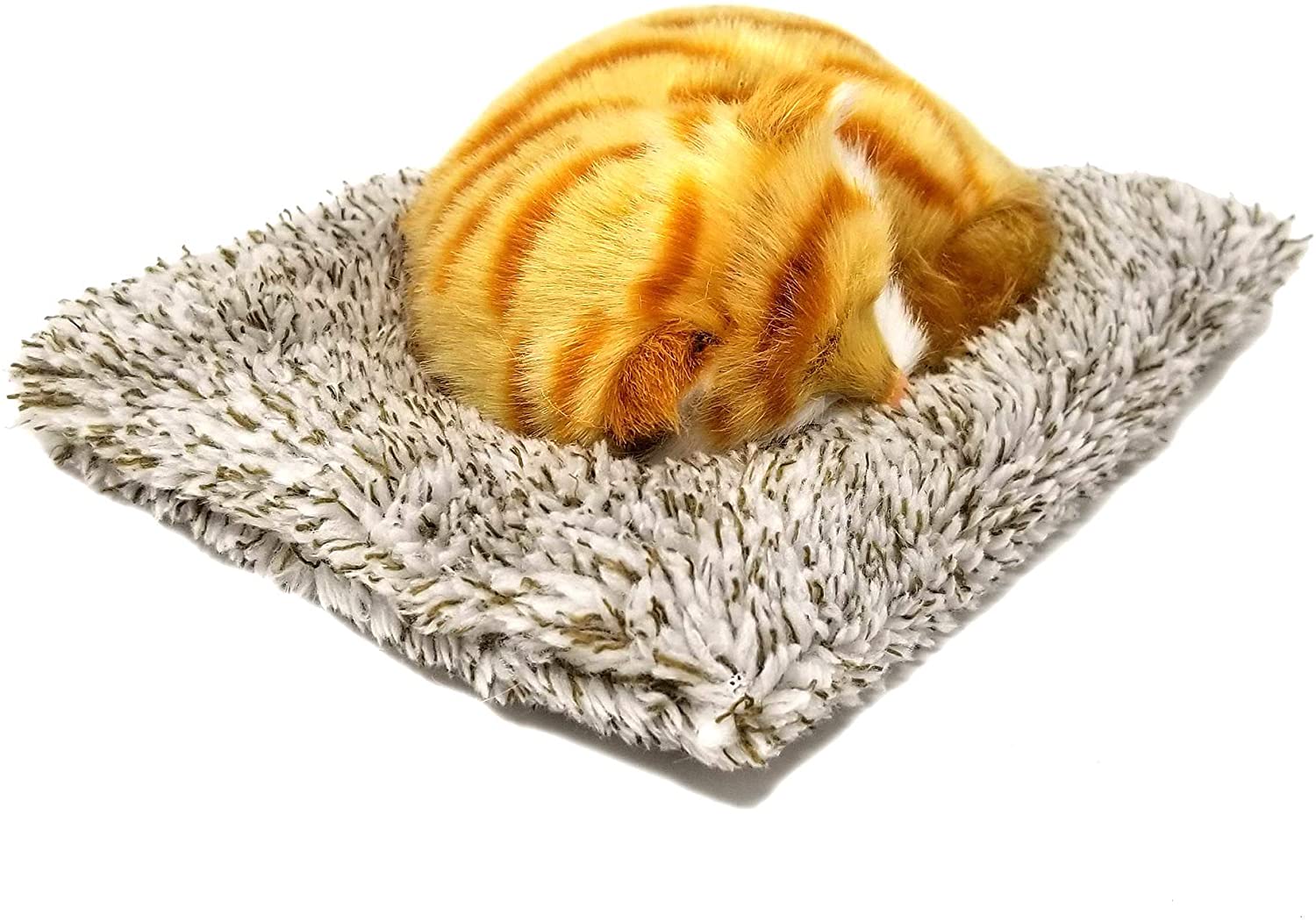 Pp Mini Orange Tabby