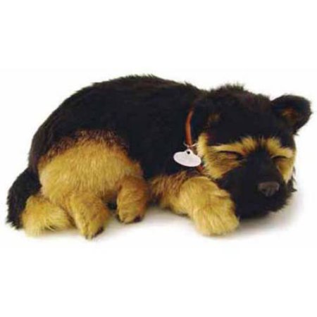 Pp German Sheperd