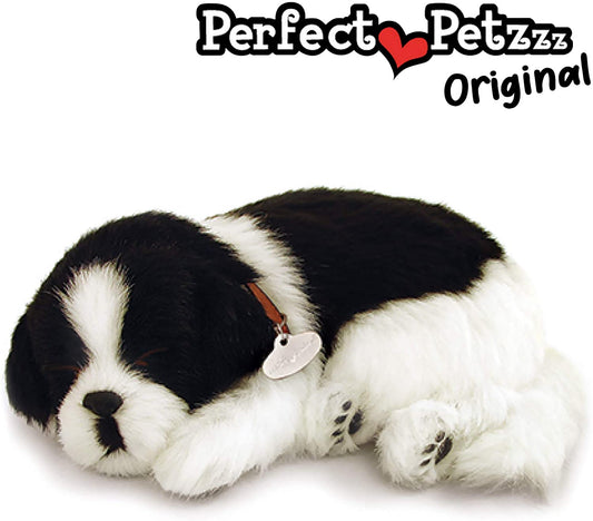Pp Shih Tzu