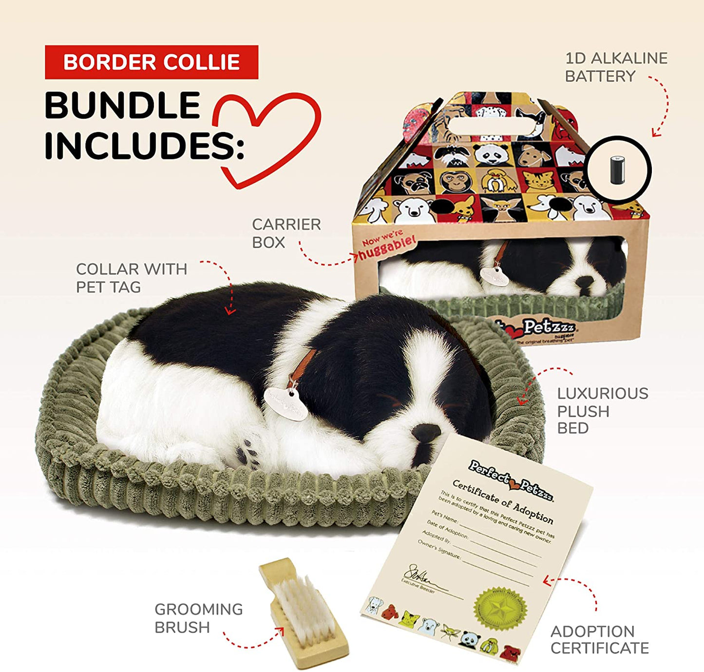 Pp Shih Tzu