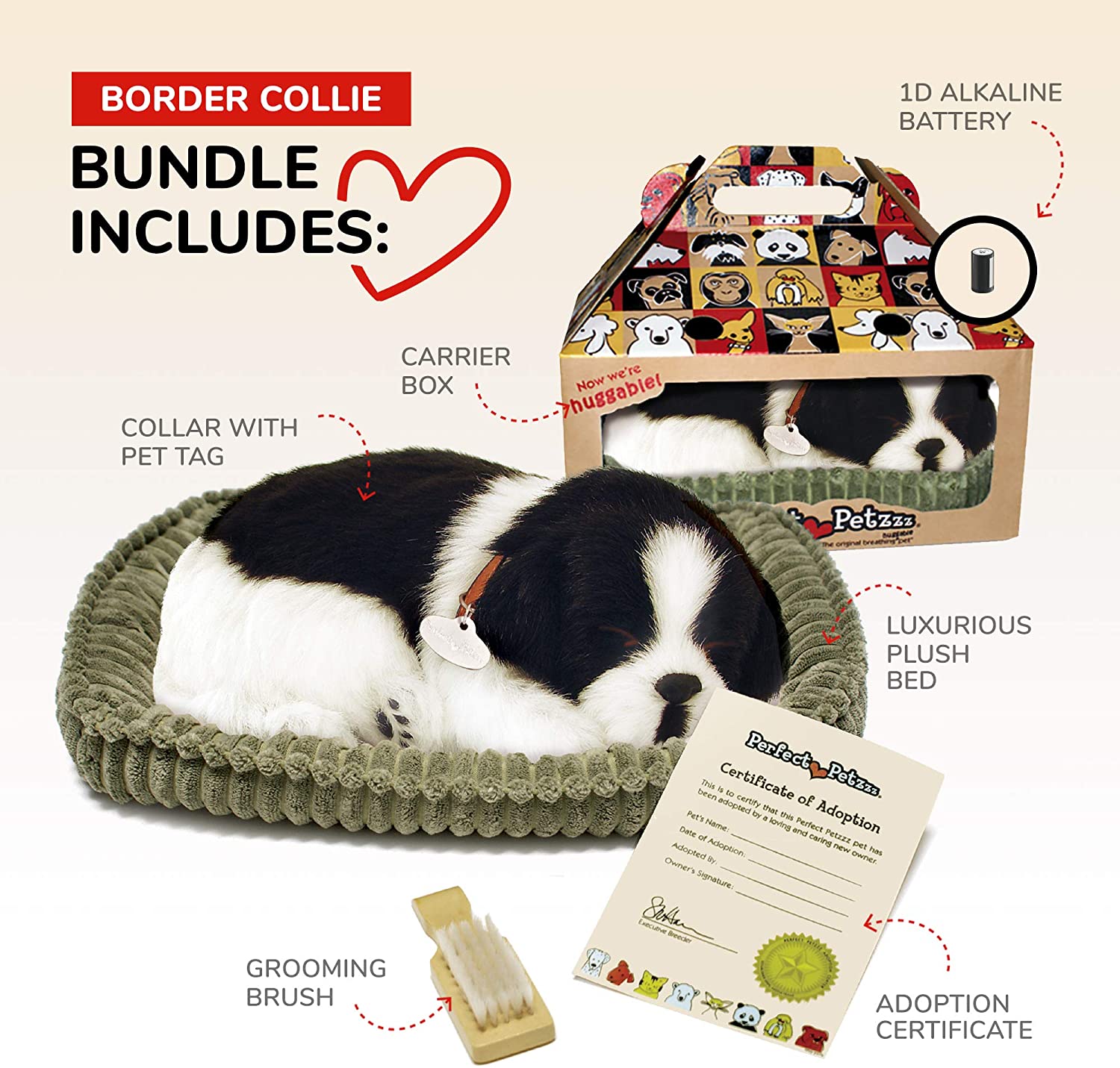 Pp Shih Tzu