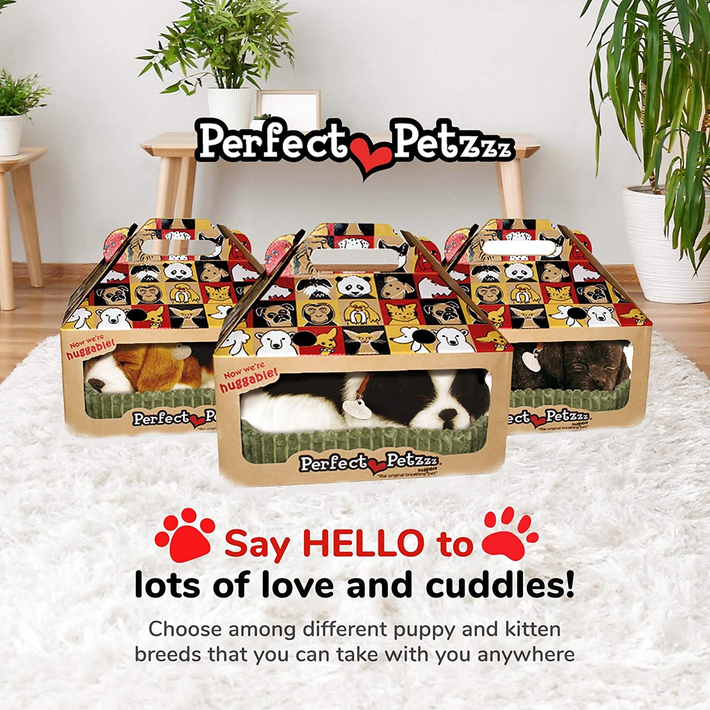 Pp Shih Tzu