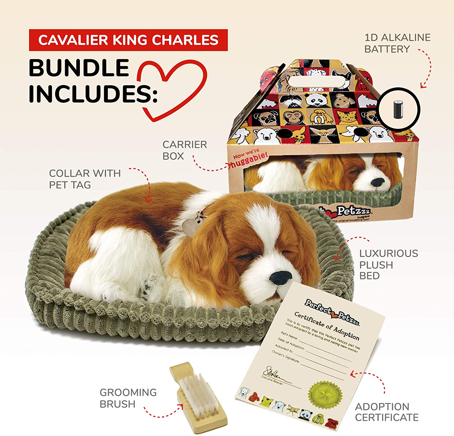 Pp Cavaier King Charles